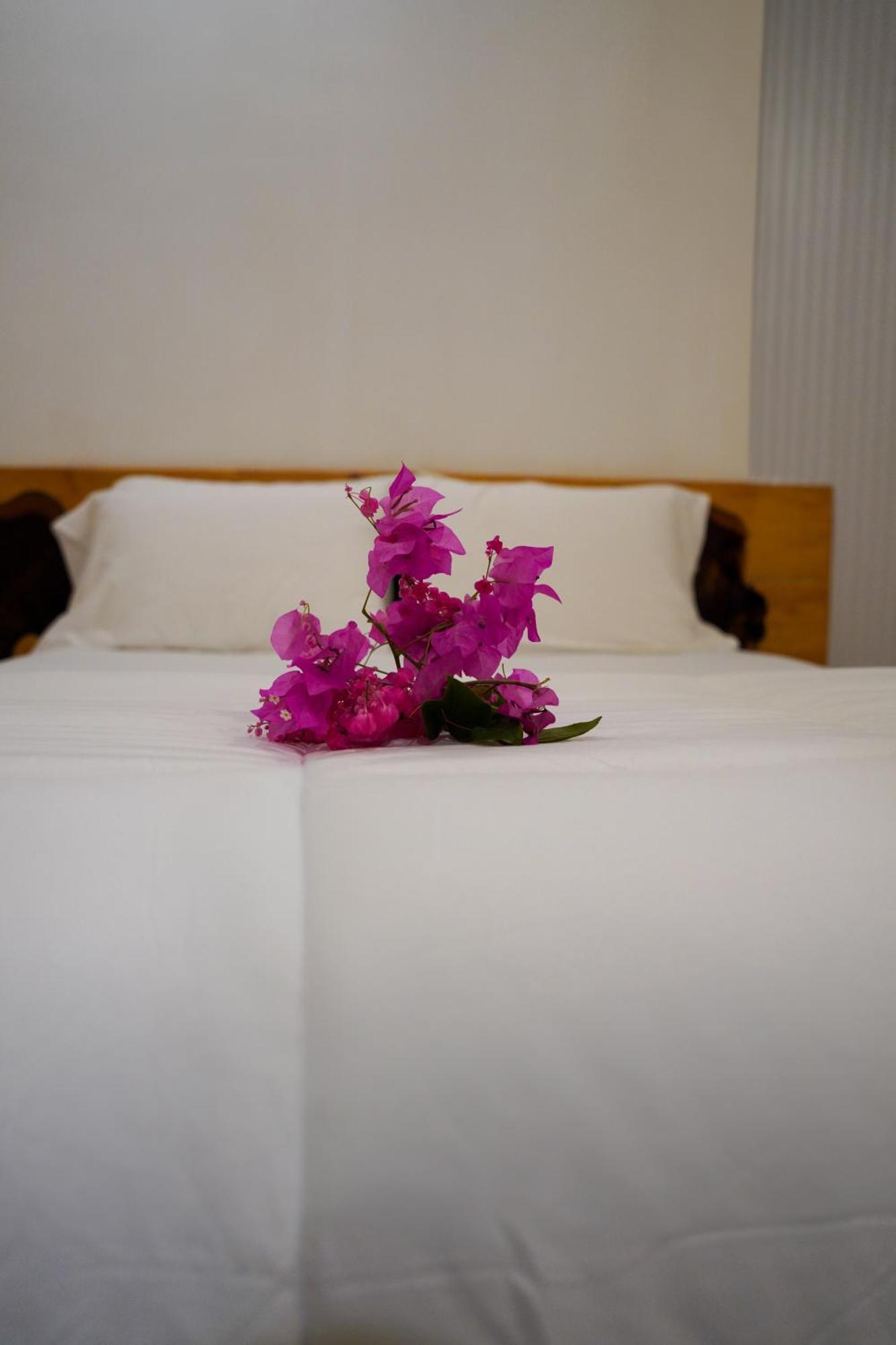 Hotel Sun & Surf à Thulusdhoo Extérieur photo